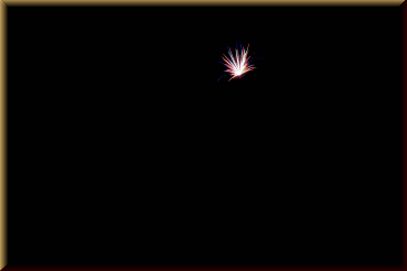 Preview: NICO Europe 59550 Star Tail, 7er-Rak.-Pack - Bild 2